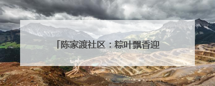 陈家渡社区：粽叶飘香迎端午 清风正气话清廉