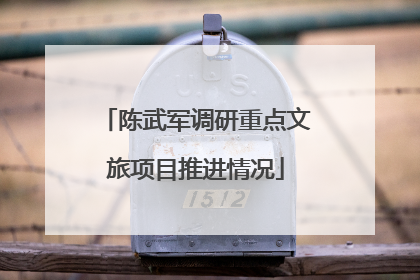 陈武军调研重点文旅项目推进情况