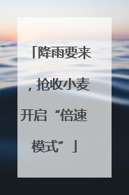 降雨要来，抢收小麦开启“倍速模式”