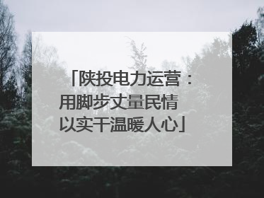 陕投电力运营：用脚步丈量民情 以实干温暖人心