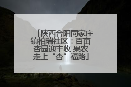 陕西合阳同家庄镇柏瑞社区：百亩杏园迎丰收 果农走上“杏”福路