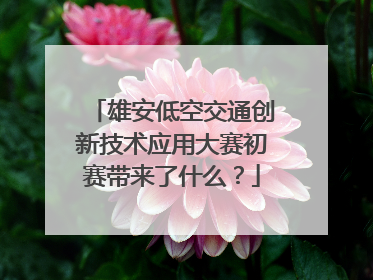 雄安低空交通创新技术应用大赛初赛带来了什么？