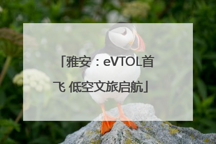 雅安：eVTOL首飞 低空文旅启航