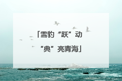 雪豹“跃”动 “典”亮青海