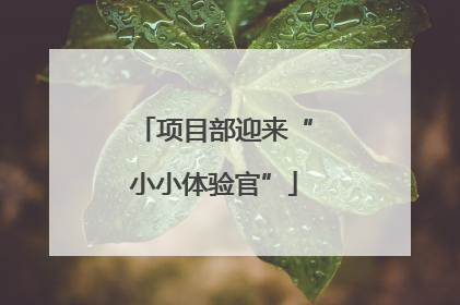 项目部迎来“小小体验官”