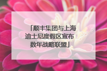 顺丰集团与上海迪士尼度假区宣布数年战略联盟