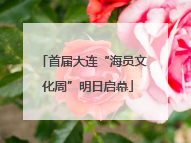 首届大连“海员文化周”明日启幕