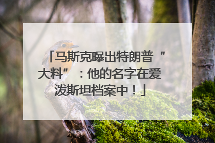 马斯克曝出特朗普“大料”：他的名字在爱泼斯坦档案中！