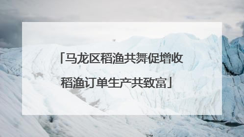 马龙区稻渔共舞促增收 稻渔订单生产共致富