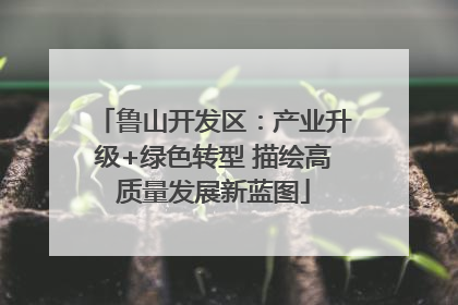 鲁山开发区：产业升级+绿色转型 描绘高质量发展新蓝图