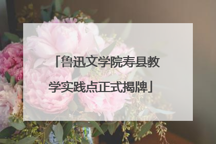 鲁迅文学院寿县教学实践点正式揭牌