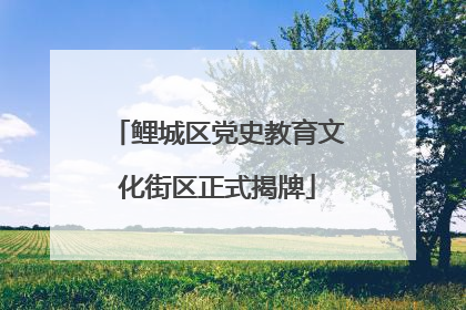 鲤城区党史教育文化街区正式揭牌