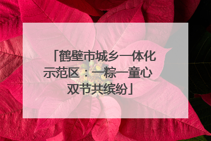 鹤壁市城乡一体化示范区：一粽一童心 双节共缤纷
