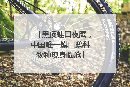 黑顶蛙口夜鹰，中国唯一蟆口鸱科物种现身临沧