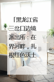 黑龙江省三岔口边境派出所：在界河畔，扎根红色沃土