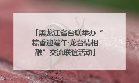 黑龙江省台联举办“粽香迎端午·龙台情相融”交流联谊活动