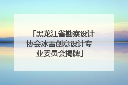 黑龙江省勘察设计协会冰雪创意设计专业委员会揭牌