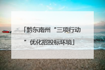 黔东南州“三项行动”优化招投标环境