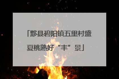 黟县碧阳镇五里村盛夏桃熟好“丰”景