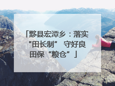 黟县宏潭乡：落实“田长制” 守好良田保“粮仓”