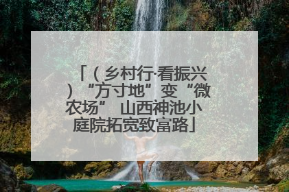 （乡村行·看振兴）“方寸地”变“微农场” 山西神池小庭院拓宽致富路