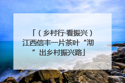 （乡村行·看振兴）江西信丰一片茶叶“沏”出乡村振兴路