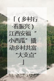 （乡村行·看振兴）江西安福“小西瓜”撬动乡村共富“大支点”
