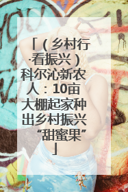 （乡村行·看振兴）科尔沁新农人：10亩大棚起家种出乡村振兴“甜蜜果”