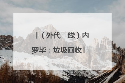 （外代一线）内罗毕：垃圾回收