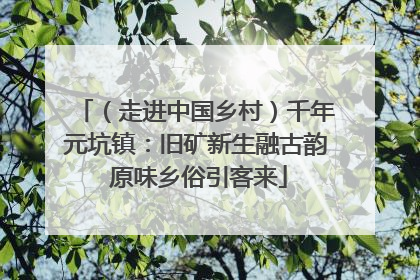 （走进中国乡村）千年元坑镇：旧矿新生融古韵 原味乡俗引客来