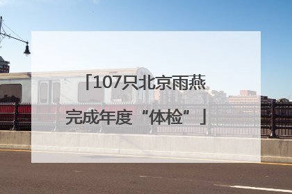 107只北京雨燕完成年度“体检”