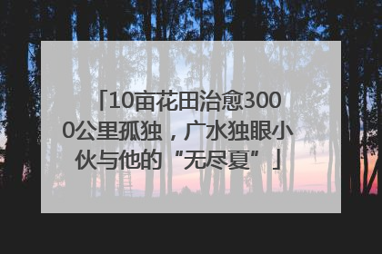 10亩花田治愈3000公里孤独，广水独眼小伙与他的“无尽夏”