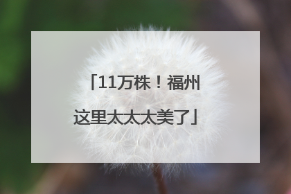 11万株！福州这里太太太美了