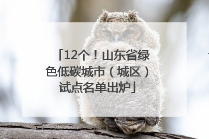12个！山东省绿色低碳城市（城区）试点名单出炉