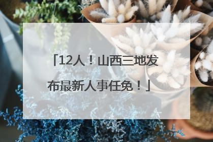 12人！山西三地发布最新人事任免！