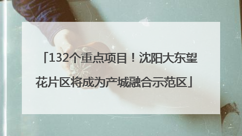 132个重点项目！沈阳大东望花片区将成为产城融合示范区