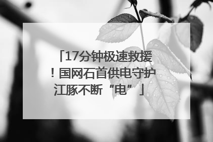17分钟极速救援！国网石首供电守护江豚不断“电”