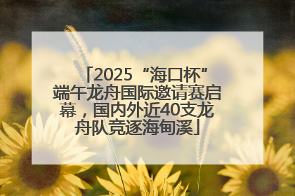 2025“海口杯”端午龙舟国际邀请赛启幕，国内外近40支龙舟队竞逐海甸溪