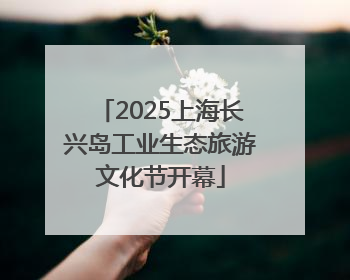 2025上海长兴岛工业生态旅游文化节开幕
