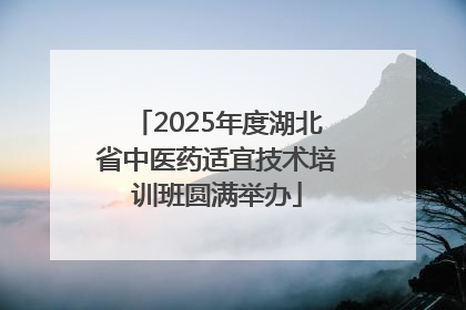 2025年度湖北省中医药适宜技术培训班圆满举办
