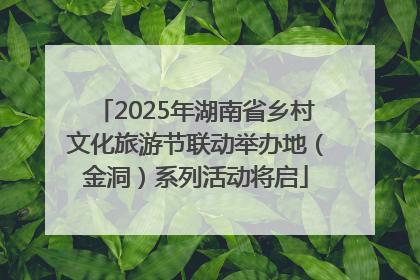 2025年湖南省乡村文化旅游节联动举办地（金洞）系列活动将启