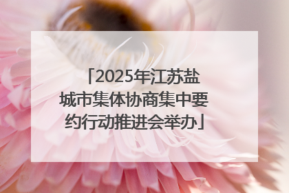2025年江苏盐城市集体协商集中要约行动推进会举办