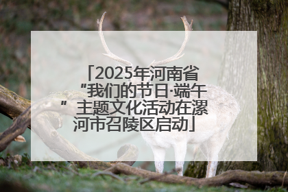 2025年河南省“我们的节日·端午”主题文化活动在漯河市召陵区启动