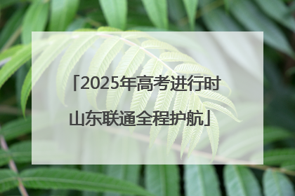 2025年高考进行时 山东联通全程护航