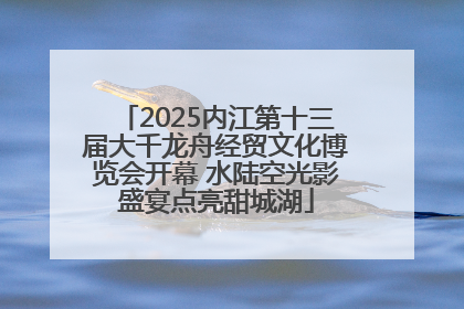 2025内江第十三届大千龙舟经贸文化博览会开幕 水陆空光影盛宴点亮甜城湖
