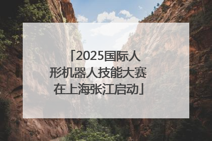 2025国际人形机器人技能大赛在上海张江启动