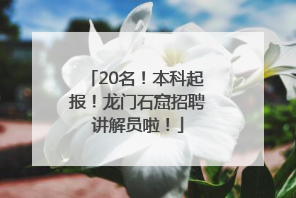 20名！本科起报！龙门石窟招聘讲解员啦！