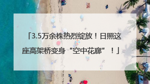 3.5万余株热烈绽放！日照这座高架桥变身“空中花廊”！