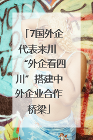 7国外企代表来川 “外企看四川”搭建中外企业合作桥梁