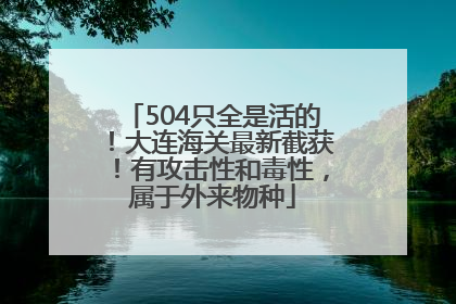 504只全是活的！大连海关最新截获！有攻击性和毒性，属于外来物种